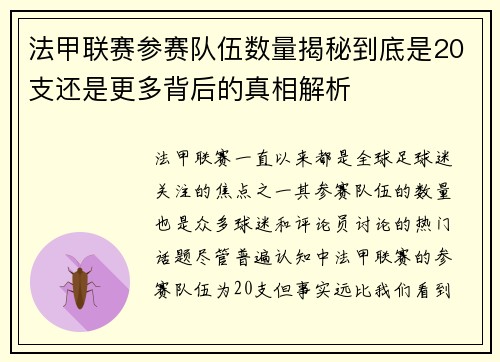 法甲联赛参赛队伍数量揭秘到底是20支还是更多背后的真相解析
