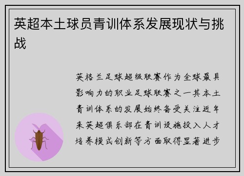 英超本土球员青训体系发展现状与挑战